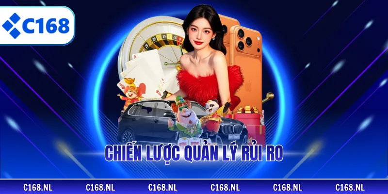 Chiến lược quản lý rủi ro có vai trò cực quan trọng