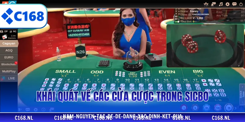 Khái quát về các cửa cược trong sicbo